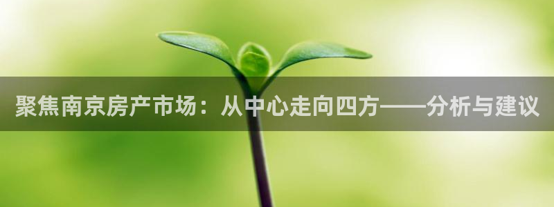 新宝5官网：聚焦南京房产市场：从中心走向四方——分析与建议