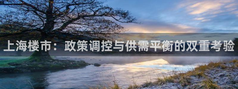 新宝奇迹GG5：上海楼市：政策调控与供需平衡的双重考验