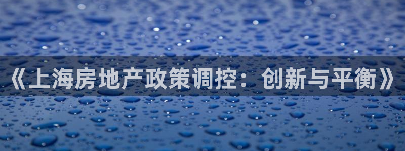 新宝5娱乐然：《上海房地产政策调控：创新与平衡》
