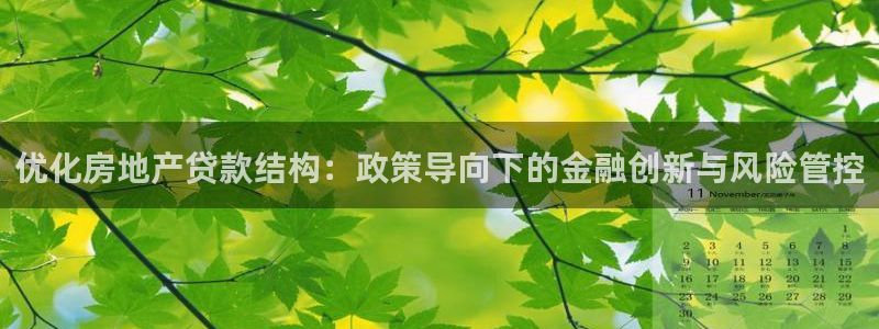 新宝5入口：优化房地产贷款结构：政策导向下的金融创新与风险管