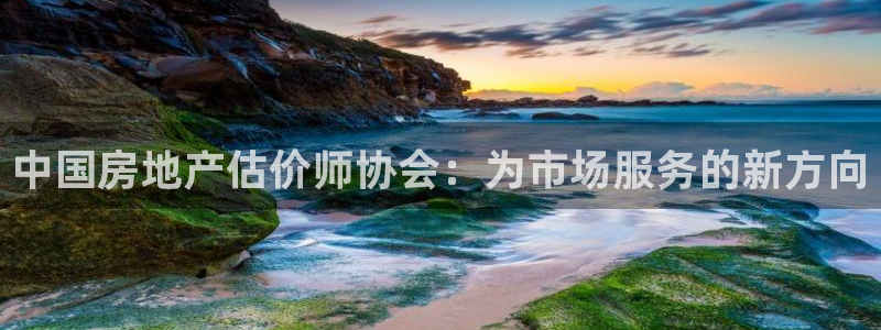 新宝5飞355051：中国房地产估价师协会：为市场服务的新方