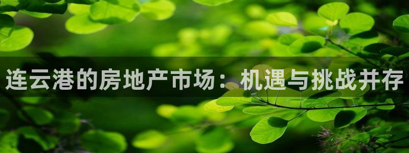 新宝5导师：连云港的房地产市场：机遇与挑战并存