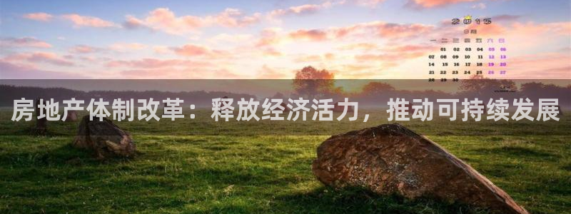 新宝5球维33 300：房地产体制改革：释放经济活力，推动可