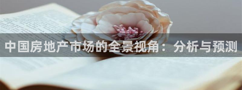 新宝骏rc5W：中国房地产市场的全景视角：分析与预测