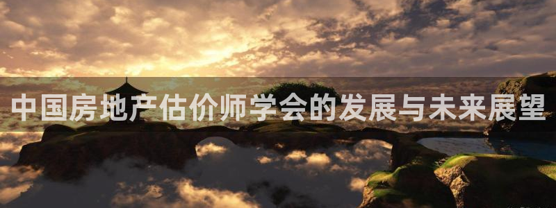 新宝5测速登陆：中国房地产估价师学会的发展与未来展望