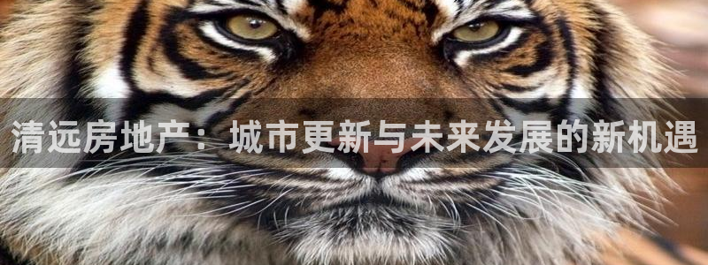 新宝5是什么样子的：清远房地产：城市更新与未来发展的新机遇