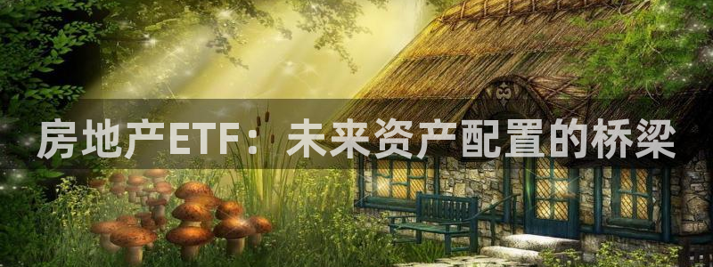 新宝5为啥开：房地产ETF：未来资产配置的桥梁