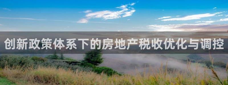 新宝5是什么样子的：创新政策体系下的房地产税收优化与调控
