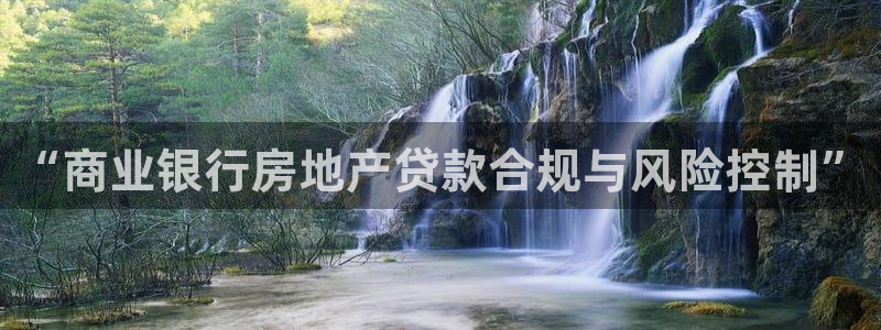 新宝5娱乐方：“商业银行房地产贷款合规与风险控制”
