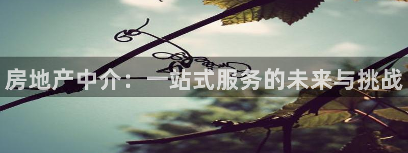 新宝5测速平台登录：房地产中介：一站式服务的未来与挑战