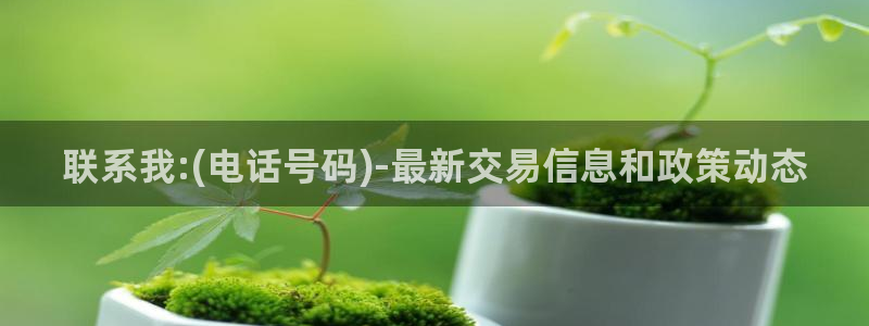 新宝5手机平台登陆：联系我:(电话号码)-最新交易信息和政策