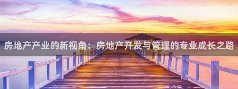 新宝奇迹GG5：房地产产业的新视角：房地产开发与管理的专业成