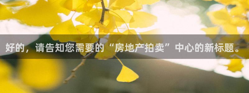 新宝5软件下载：好的，请告知您需要的“房地产拍卖”中心的新标