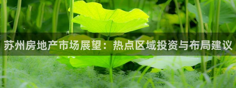 新宝5账号注册：苏州房地产市场展望：热点区域投资与布局建议