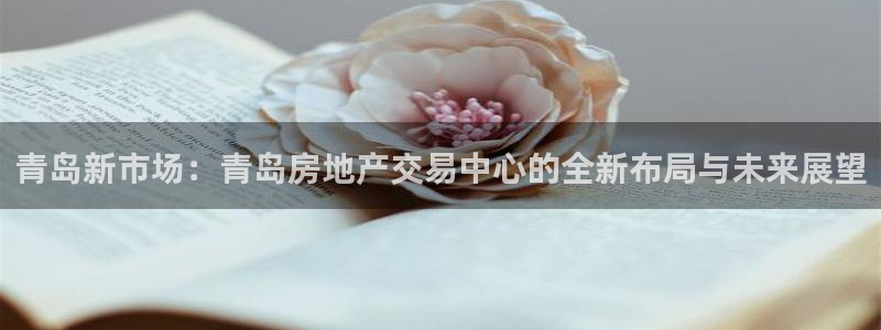 新宝5什么时候上市：青岛新市场：青岛房地产交易中心的全新布局