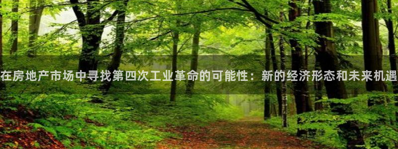新宝5登录入口网址：在房地产市场中寻找第四次工业革命的可能性