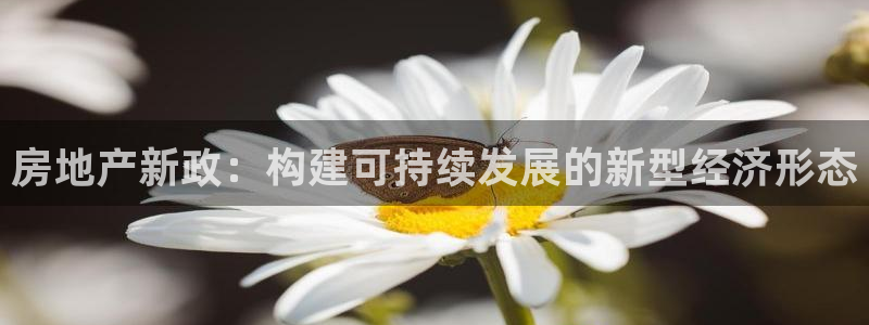 新宝5如何下载：房地产新政：构建可持续发展的新型经济形态