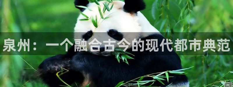 新宝5球维33 300：泉州：一个融合古今的现代都市典范