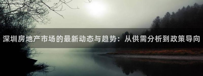 新宝5开好：深圳房地产市场的最新动态与趋势：从供需分析到政策