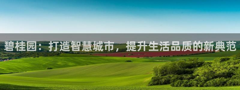 新宝5平台登录下载软件：碧桂园：打造智慧城市，提升生活品质的