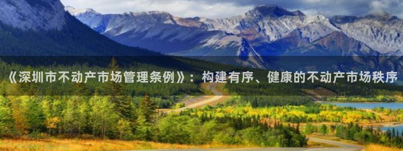 新宝5寻33 300球：《深圳市不动产市场管理条例》：构建有