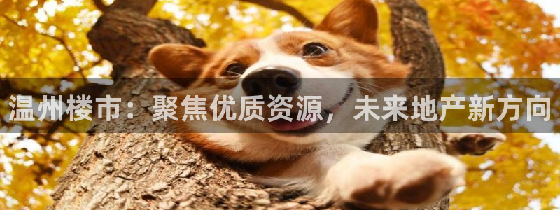 新宝5下载app：温州楼市：聚焦优质资源，未来地产新方向