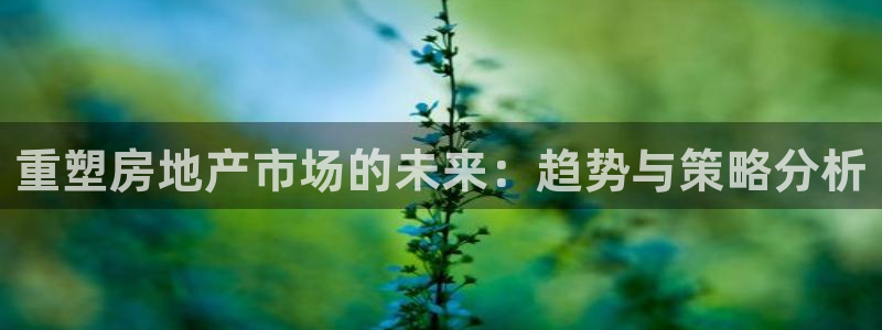 新宝5现在还能玩吗：重塑房地产市场的未来：趋势与策略分析
