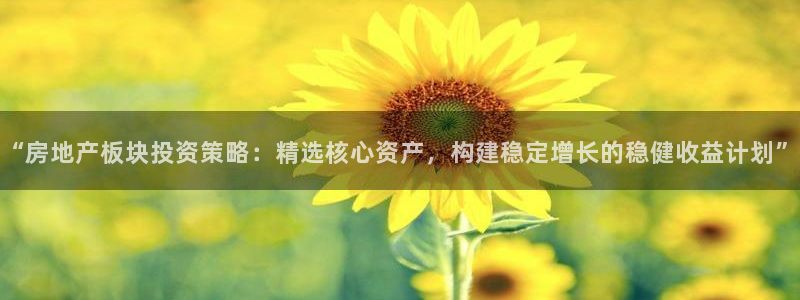 新宝5彩票平台登陆：“房地产板块投资策略：精选核心资产，构建