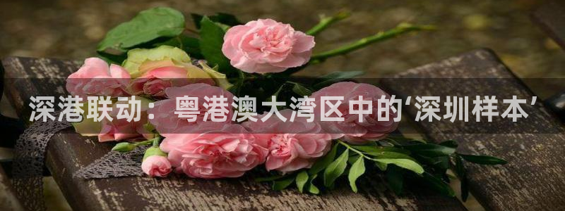 新宝5电脑：深港联动：粤港澳大湾区中的‘深圳样本’