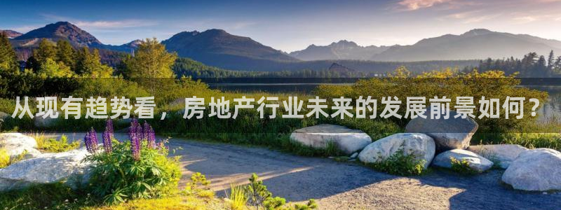 新宝3得74OO5：从现有趋势看，房地产行业未来的发展前景如