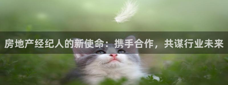 新宝5谠631257：房地产经纪人的新使命：携手合作，共谋行