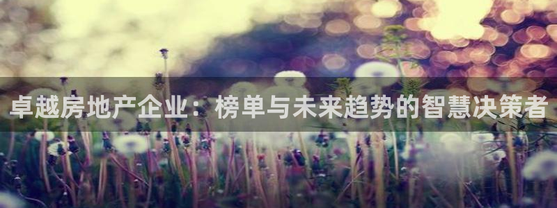 新宝5注册账号：卓越房地产企业：榜单与未来趋势的智慧决策者