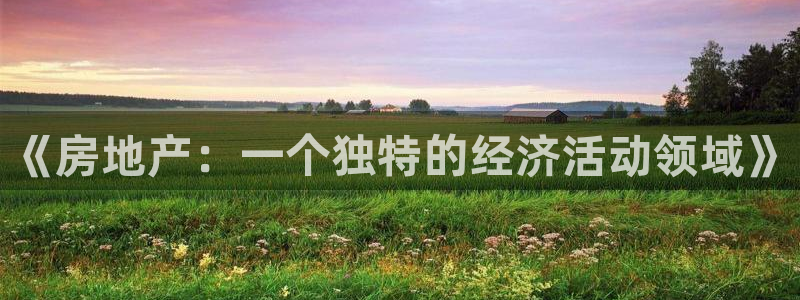 新宝5 测速：《房地产：一个独特的经济活动领域》