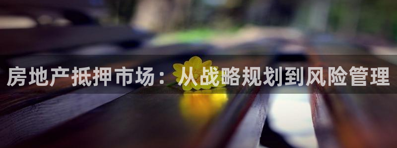 新宝5娱乐手机登录：房地产抵押市场：从战略规划到风险管理