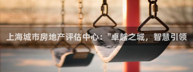有人知道新宝5么：上海城市房地产评估中心：\