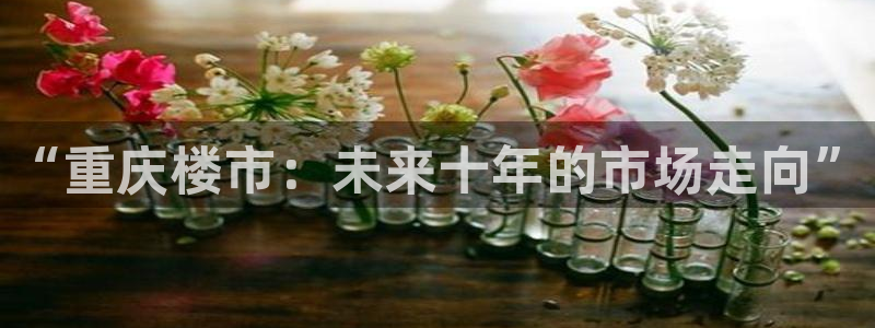 新宝5软件下载：“重庆楼市：未来十年的市场走向”