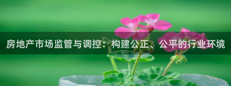 新宝5 - 测速登陆：房地产市场监管与调控：构建公正、公平的