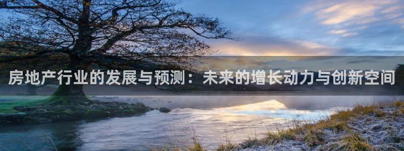 新宝5娱乐代理：房地产行业的发展与预测：未来的增长动力与创新