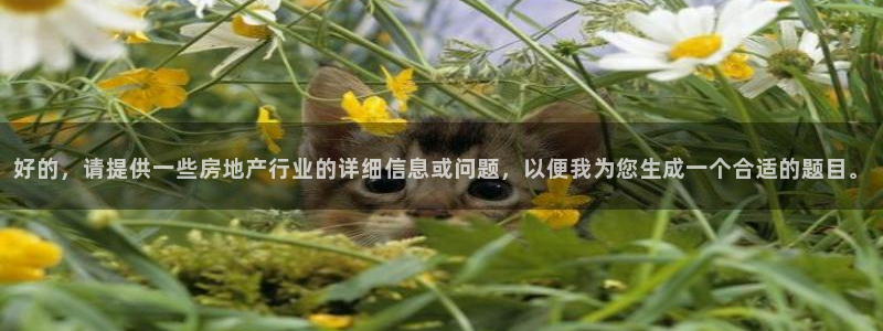 新宝5黑彩：好的，请提供一些房地产行业的详细信息或问题，以便