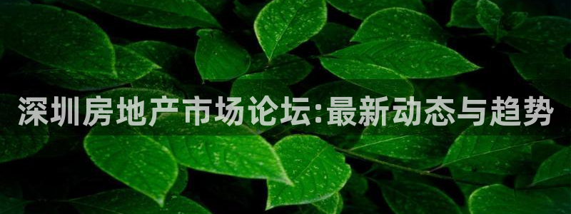 新宝5平台登录：深圳房地产市场论坛:最新动态与趋势
