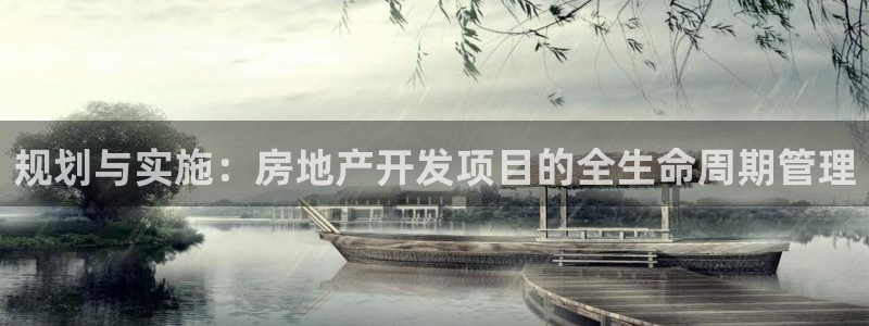 新宝股东王听2 5 5：规划与实施：房地产开发项目的全生命周
