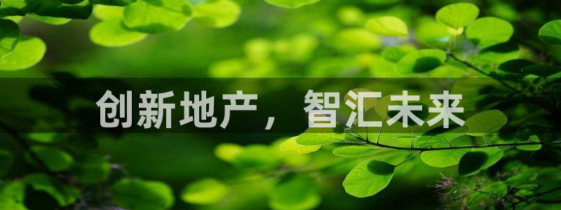 新宝5下载软件：创新地产，智汇未来