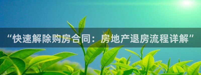 新宝G5：“快速解除购房合同：房地产退房流程详解”