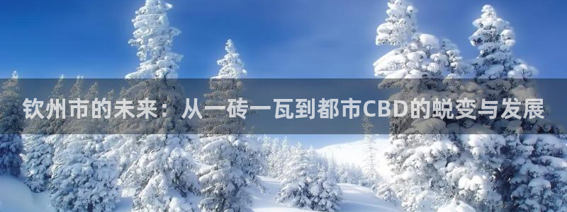 新宝5系列：钦州市的未来：从一砖一瓦到都市CBD的蜕变与发展