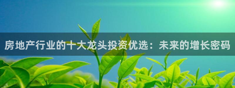 新宝5注册账号：房地产行业的十大龙头投资优选：未来的增长密码