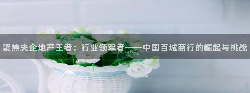 新宝5测：聚焦央企地产王者：行业领军者——中国百城商行的崛起
