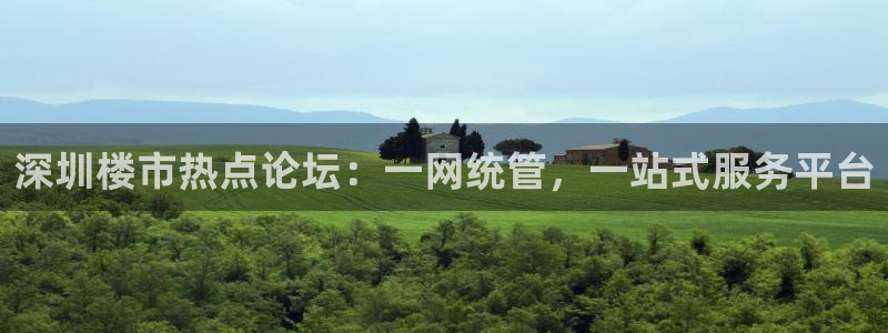 新宝5玩法：深圳楼市热点论坛：一网统管，一站式服务平台