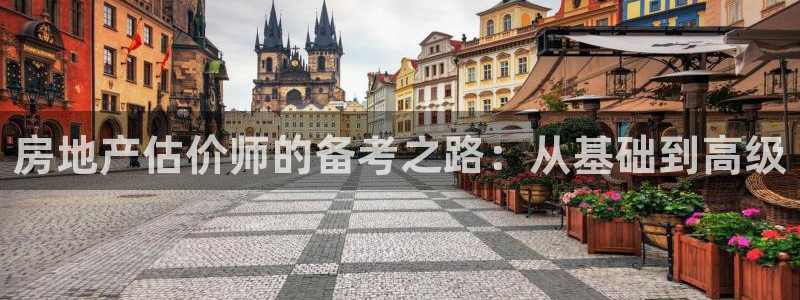 新宝5登录平台：房地产估价师的备考之路：从基础到高级