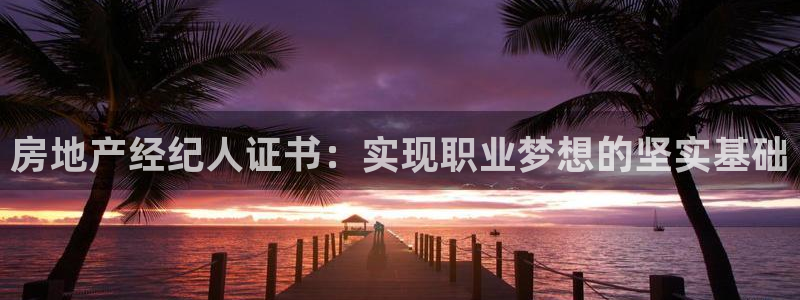 新宝5手机版：房地产经纪人证书：实现职业梦想的坚实基础