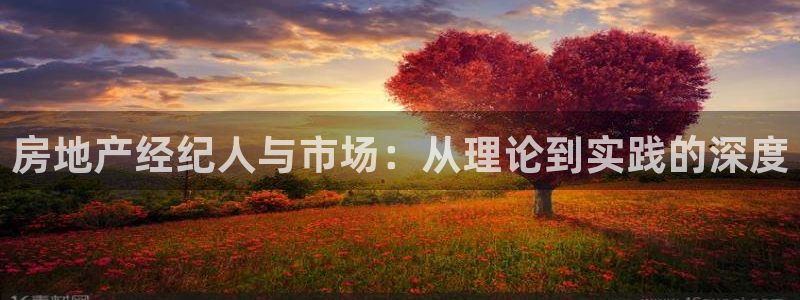 新宝5登录地址：房地产经纪人与市场：从理论到实践的深度